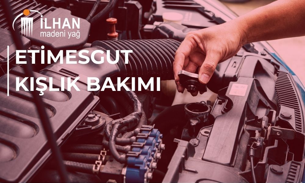 Etimesgut Kışlık Bakım